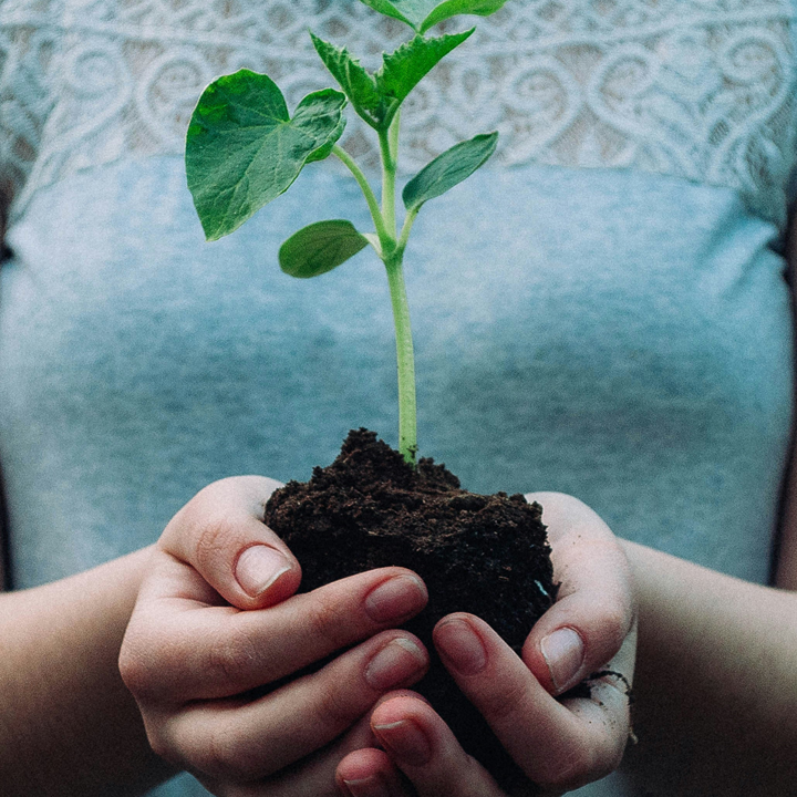 Bildbutton führt zur Bewerbungsseite zum Selbstlernkurs BNE: Planetary Health - Gesunder Mensch, gesunder Planet