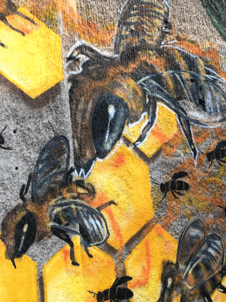©ISB, Fotografin Corinna Storm Bild zeigt Bienen beim Bau eines Bienenstocks