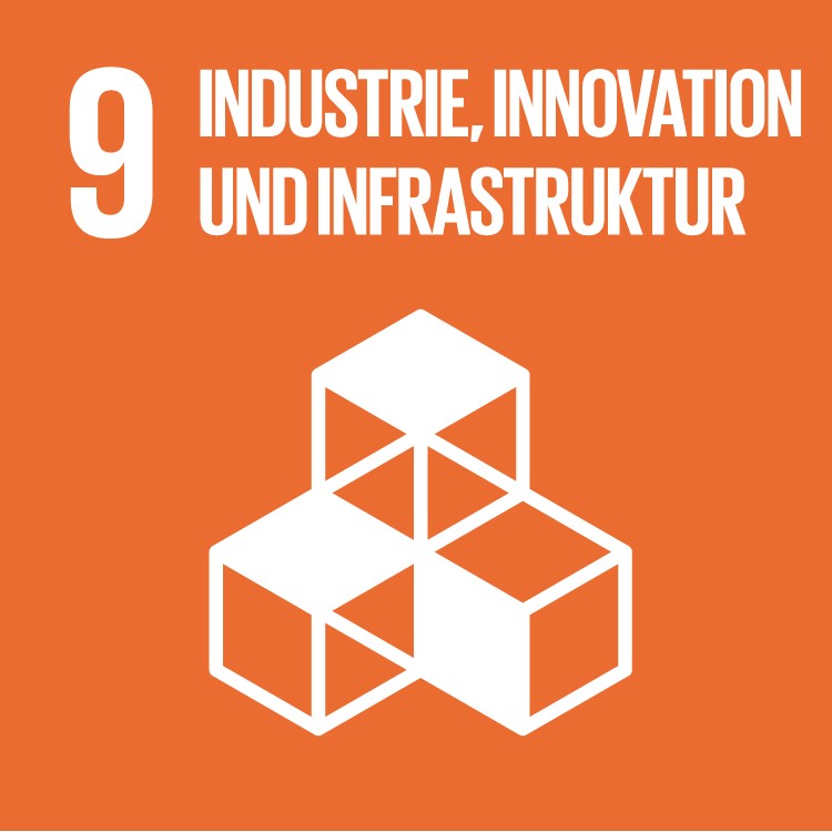 Ziel 9 Industrie, Innovation und Infrastruktur